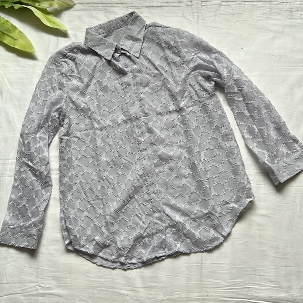 Sheer Long Sleeve Button Down Blouse - Picture 2 of 11